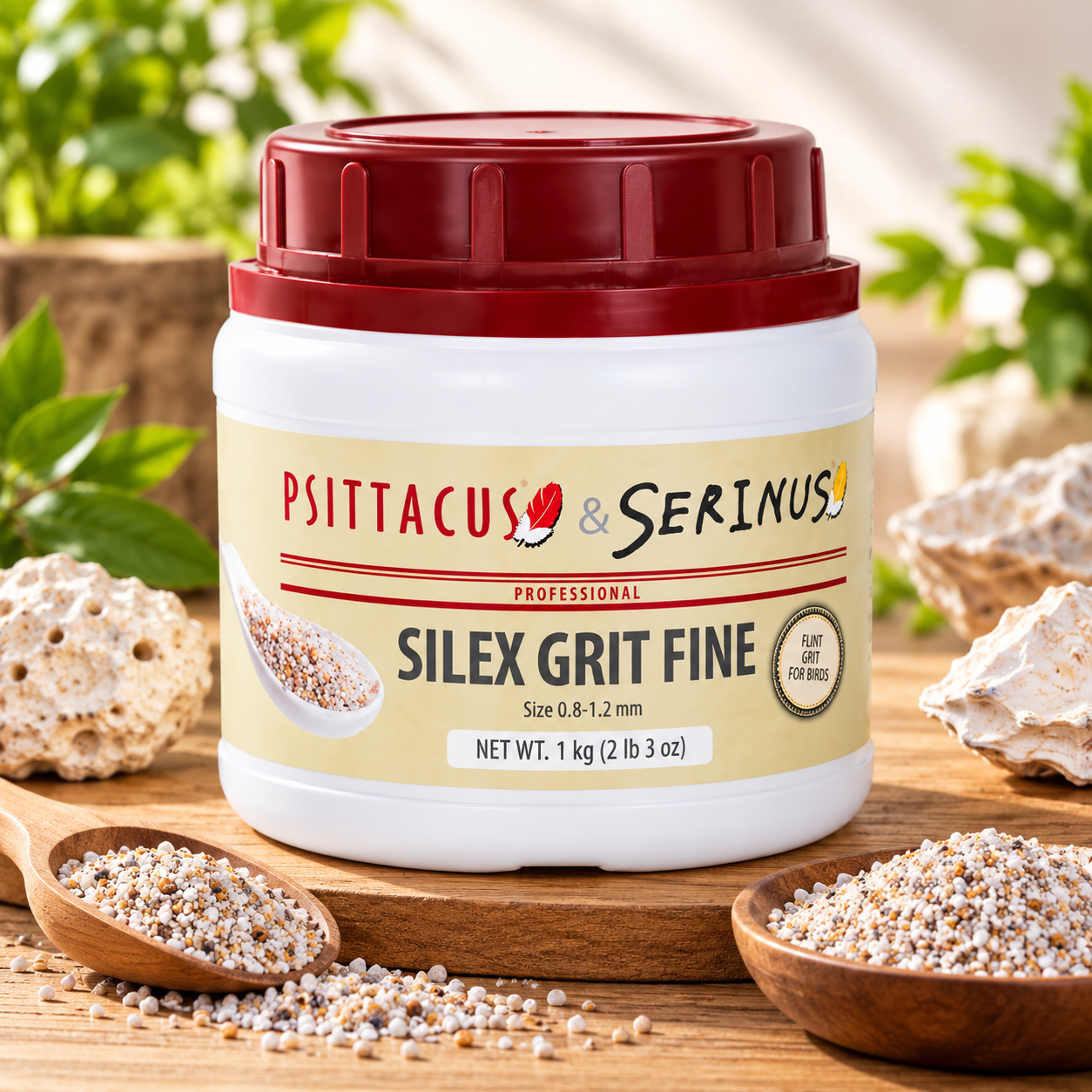 Silex Grit Fine