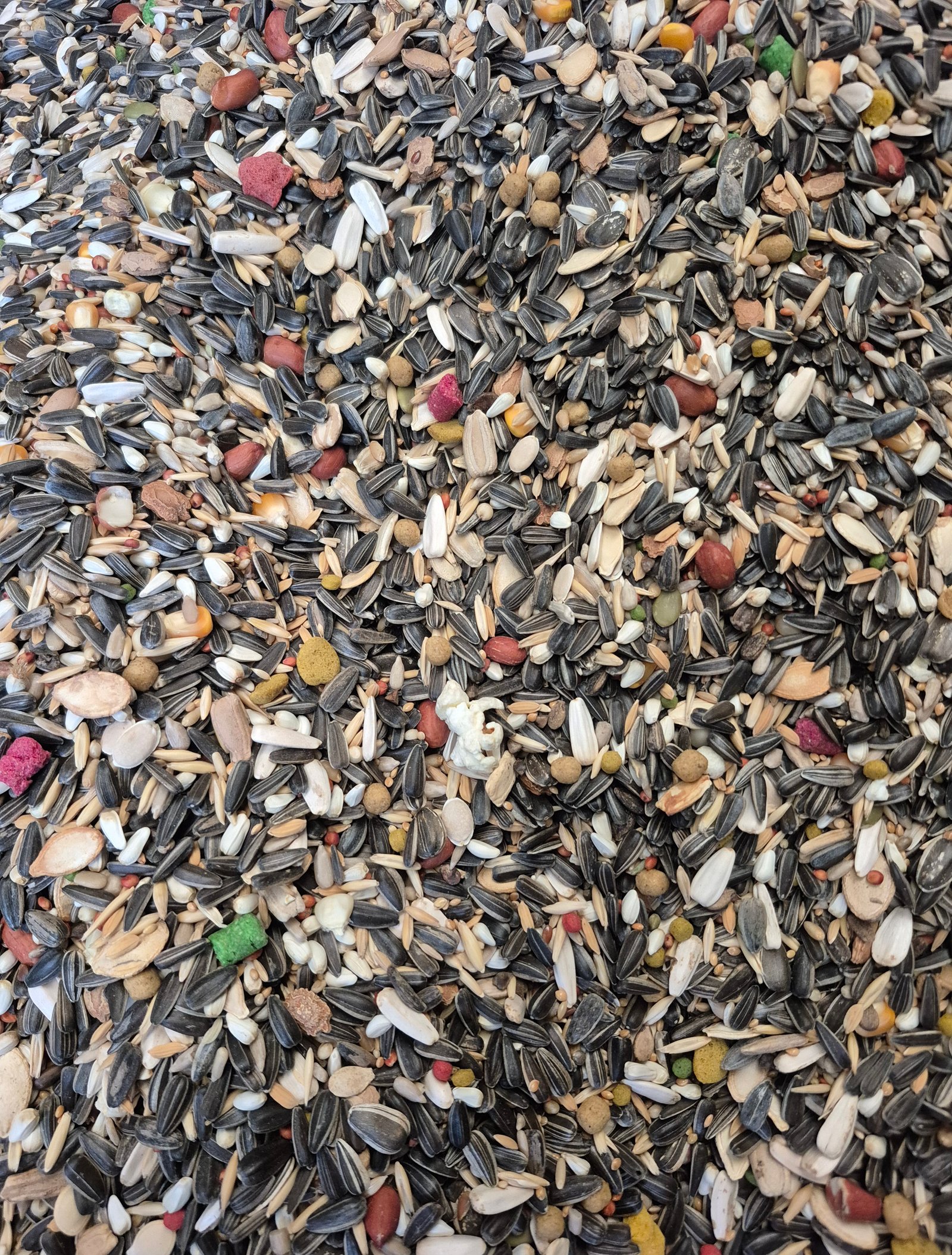 Premium Seed Mix For Conure