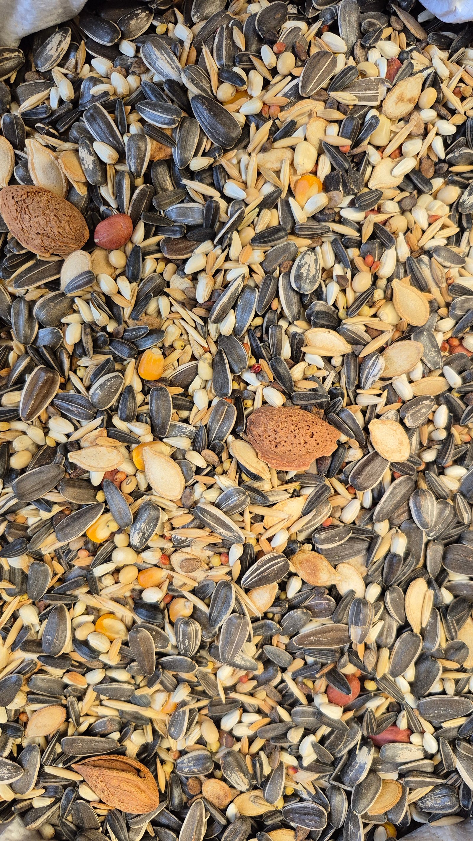 Economic Seed Mix For Big Parrot